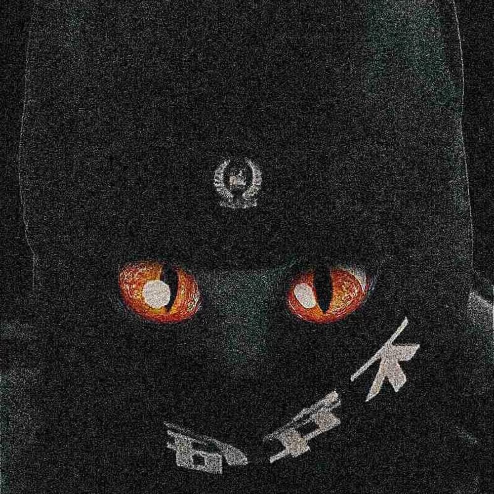 Album cover art for "Cult int" by FREAKYMAFIACULT