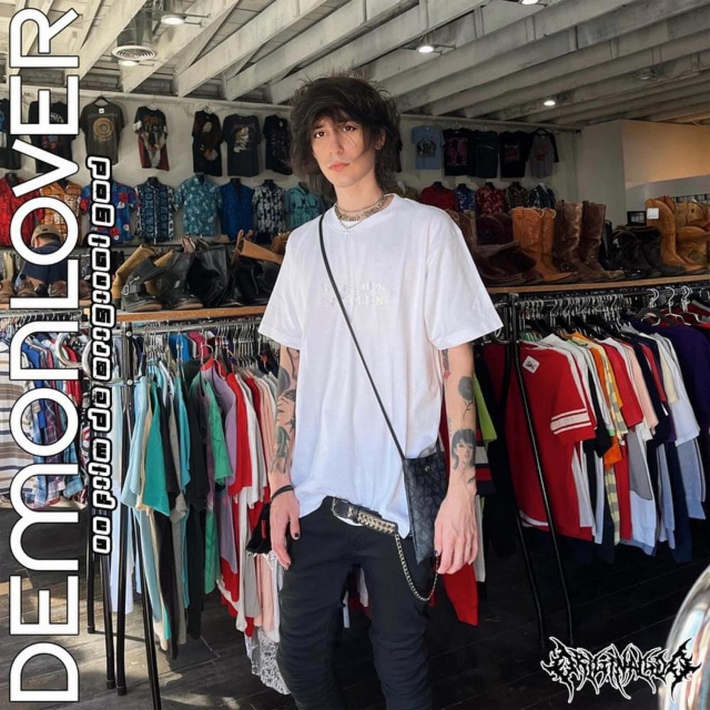 Cover image for DEMONLOVER