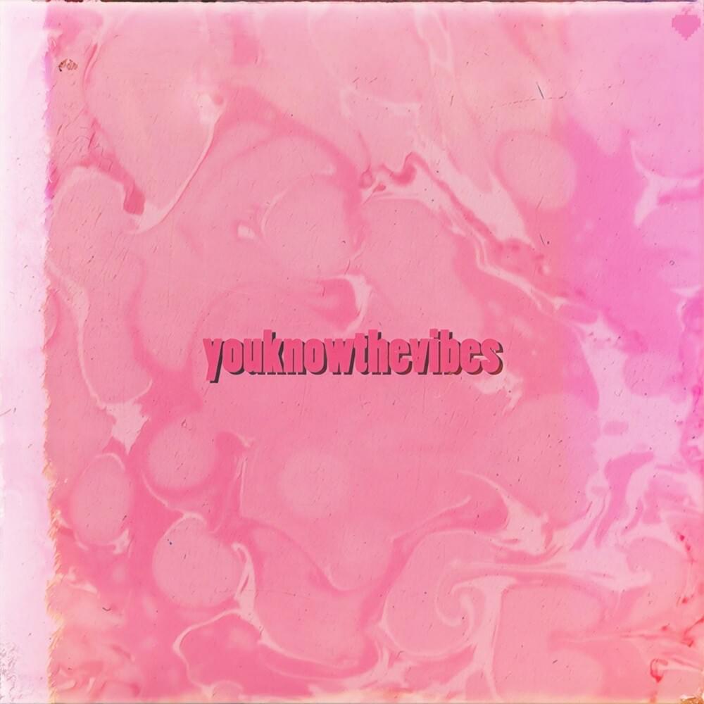 Cover image for youknowthevibes - Single