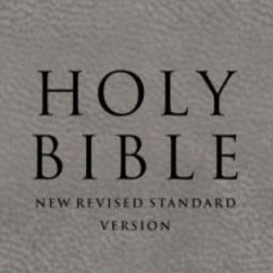 Cover image for Holy Bible (New Revised Standard Version)