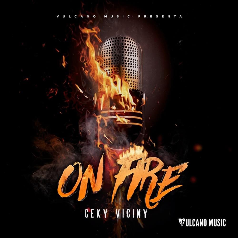 Cover image for On Fire