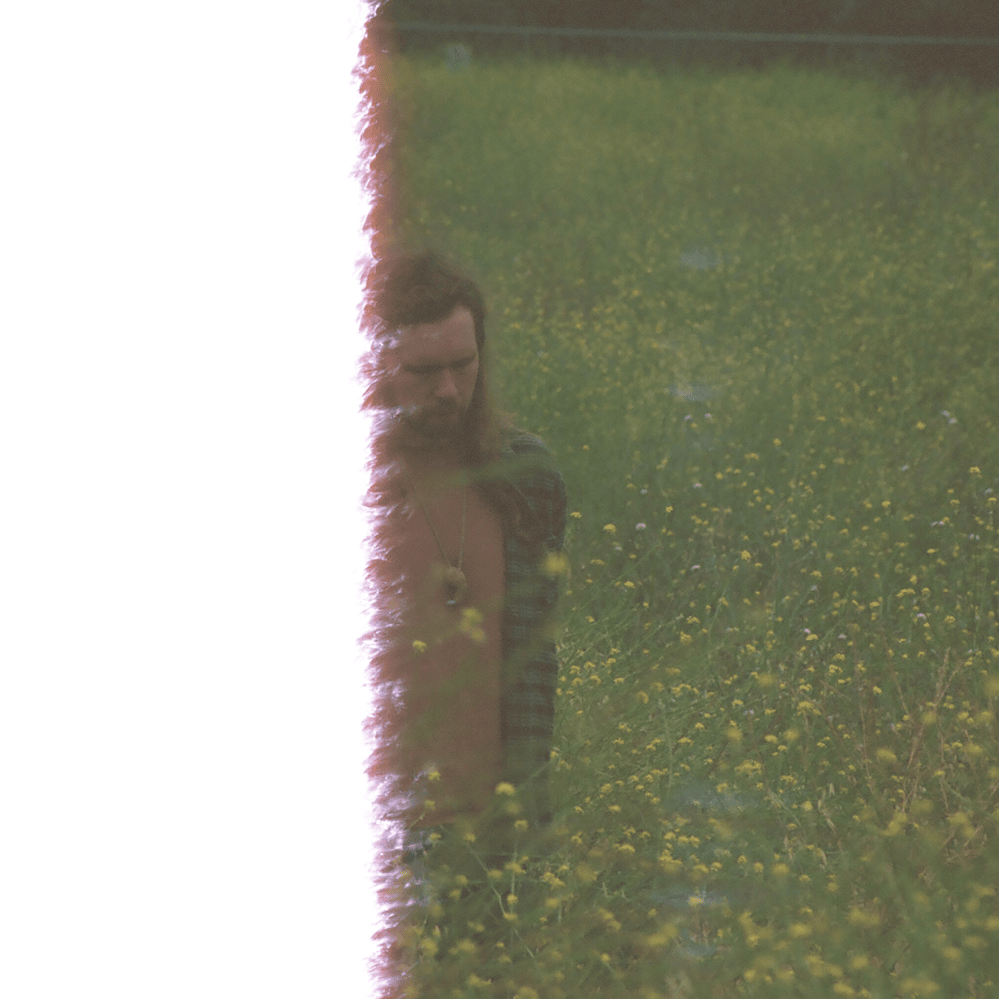 Pollinate by Shrimpnose