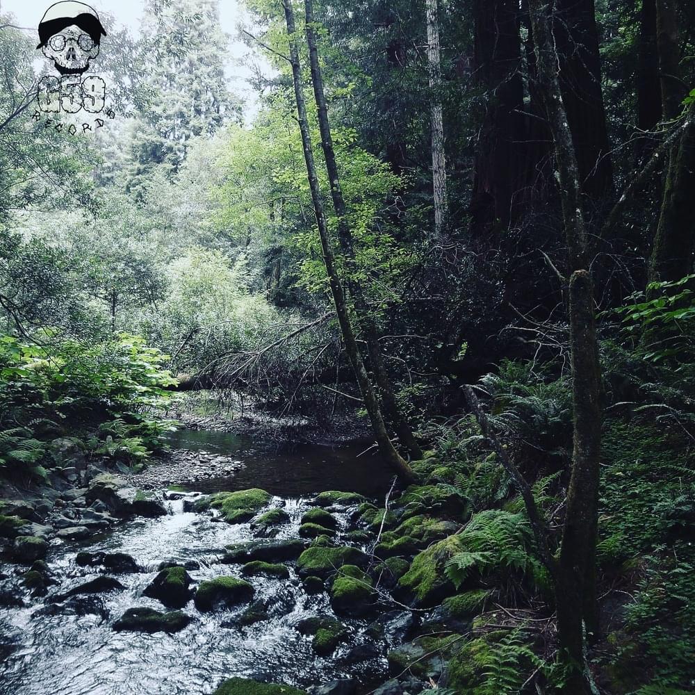 Cover image for Meet Me Where The River Turns Grey