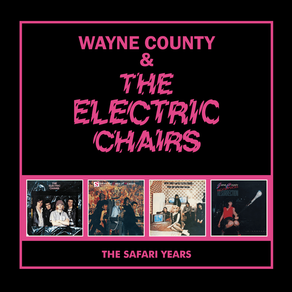 Cover image for The Safari Years