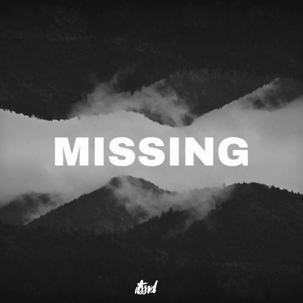 Cover image for Missing