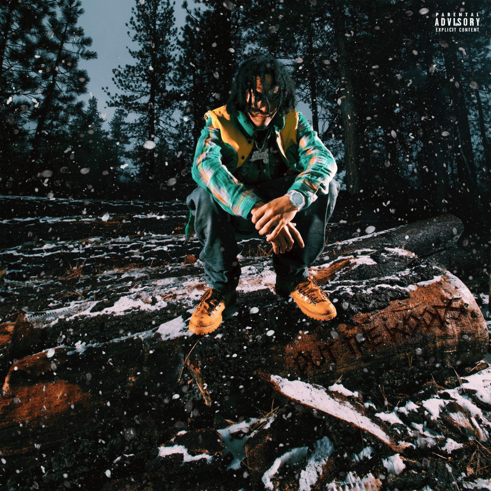 Cover image for Out The Woods
