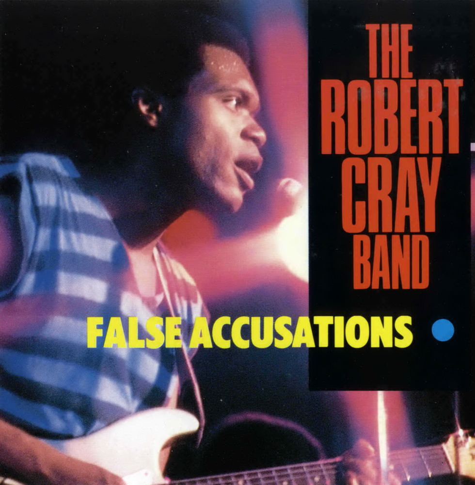 Cover image for False Accusations