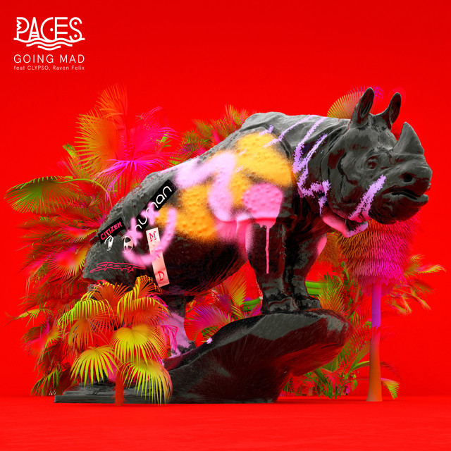 Going Mad by Paces