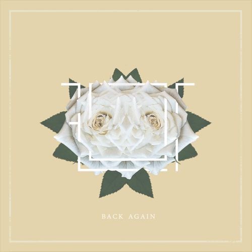 ​back again by flor