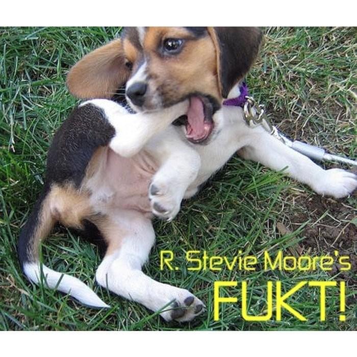 Cover image for Fukt!