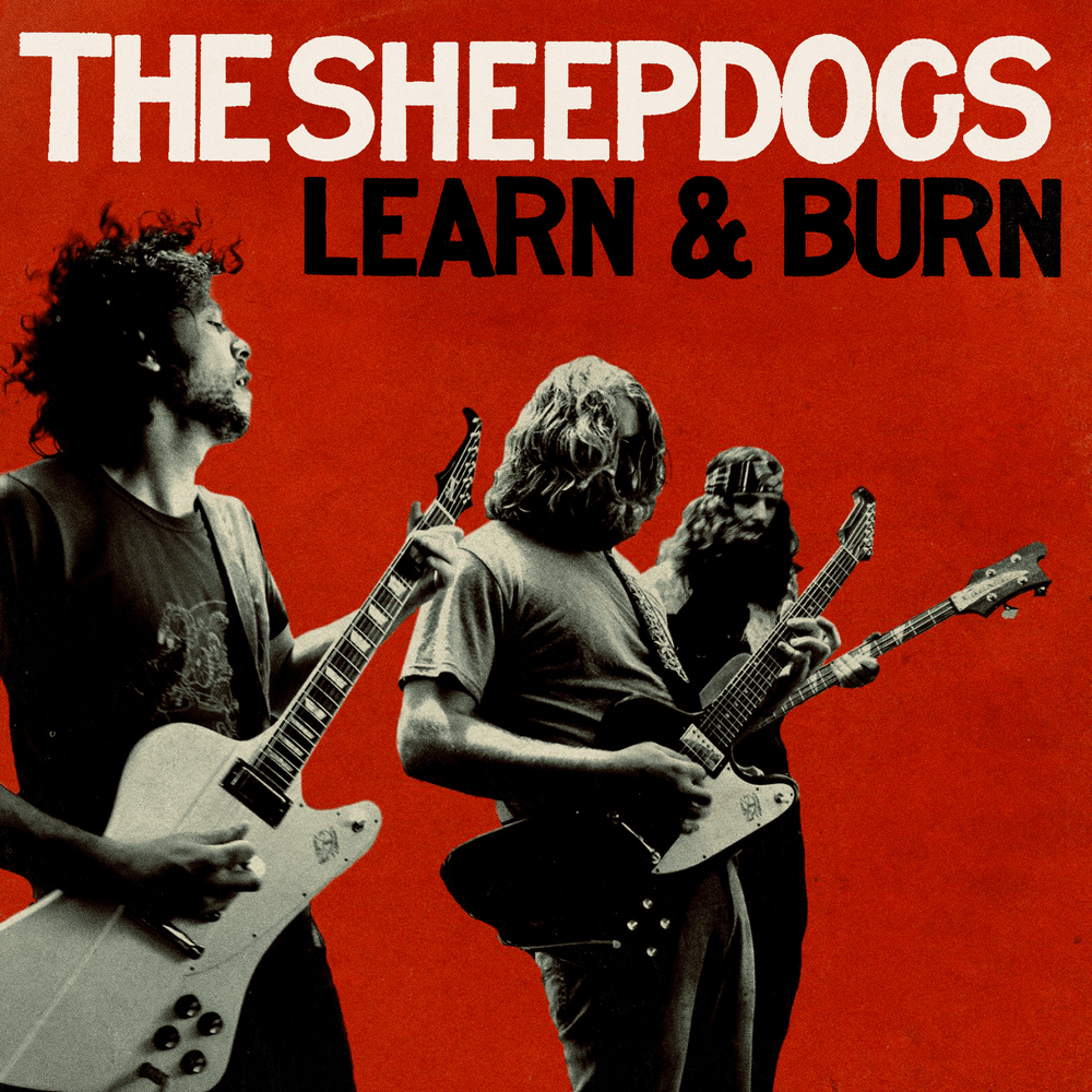 Cover image for Learn & Burn (Deluxe)