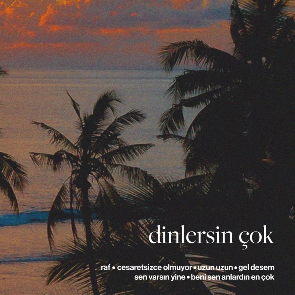 Cover image for dinlersin çok - EP