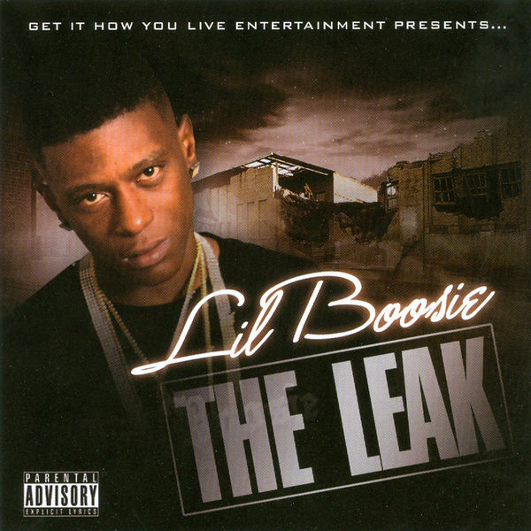 Cover image for The Leak