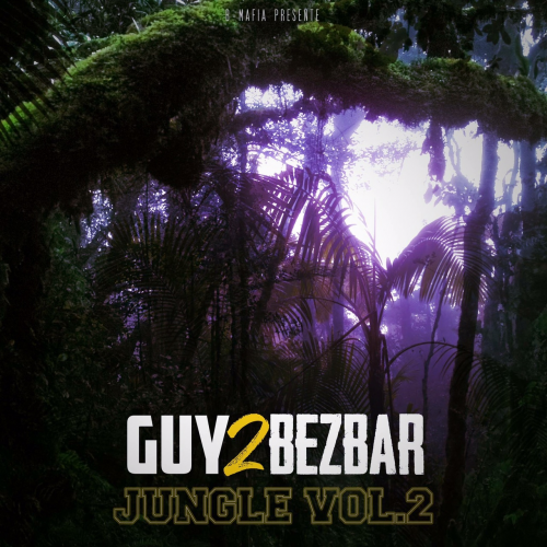 Cover image for Jungle Vol. 2