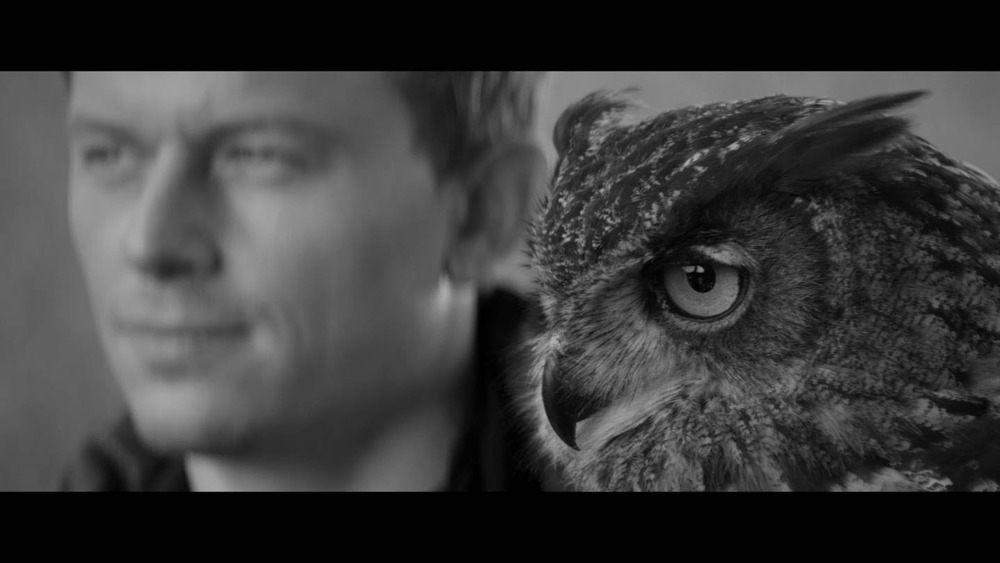 Where We Belong by Fedde Le Grand