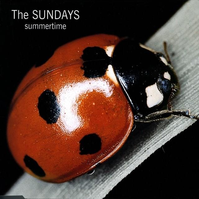 Cover image for Summertime - Single