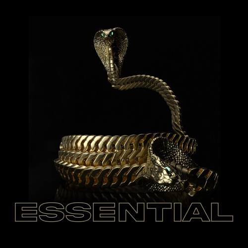 Album cover art for "Essential" by Cormega