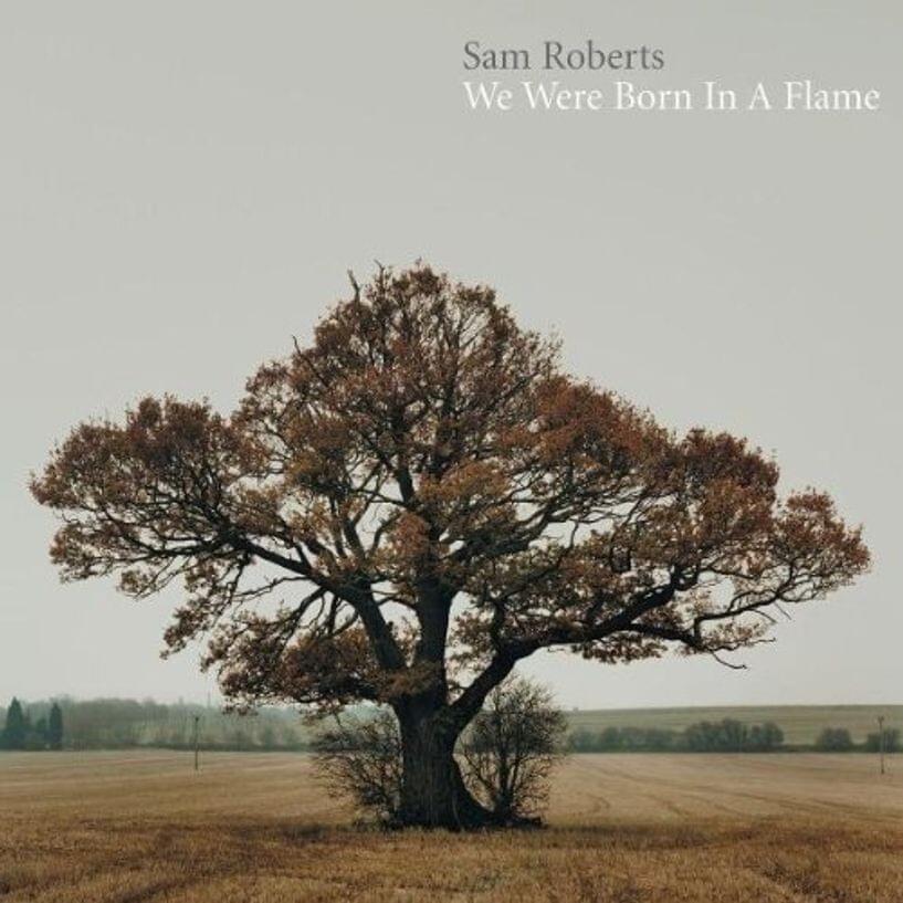 Brother Down by Sam Roberts