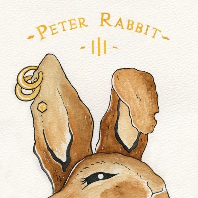 Cover image for PETER RABBIT