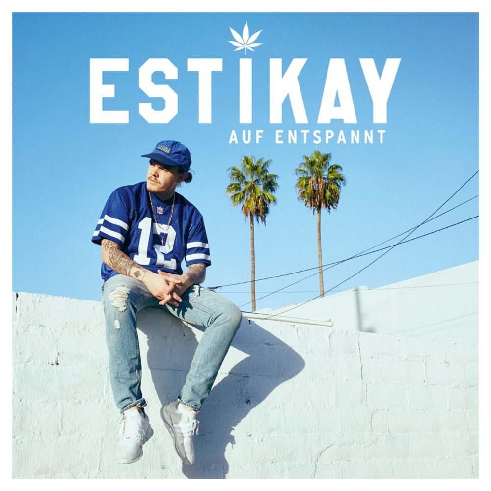 Album cover art for "Die Jungs dabei" by Estikay & Adesse & Sido