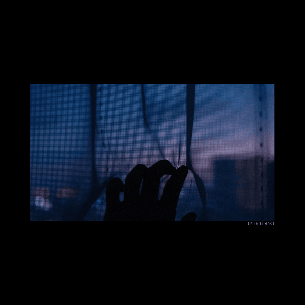 Cover image for Sit In Silence