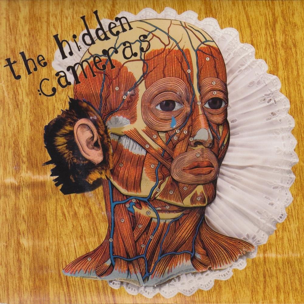 Cover image for Learning the Lie
