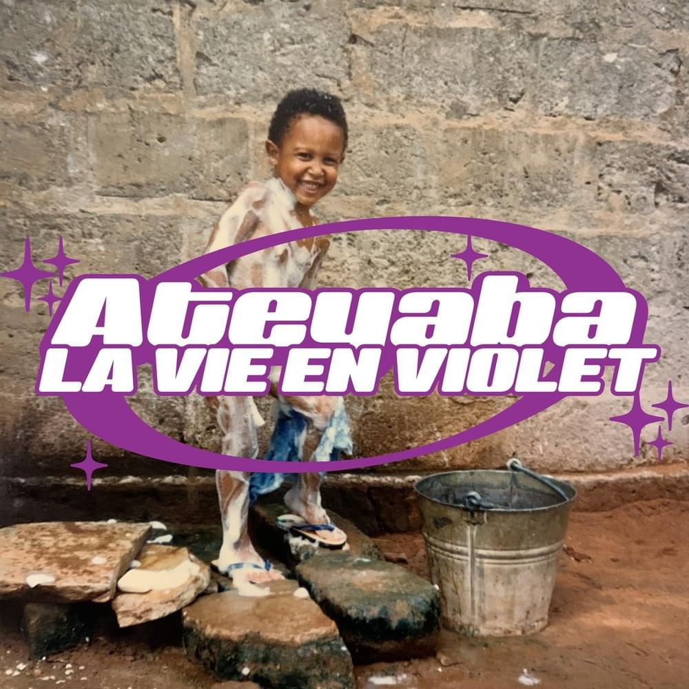 Cover image for La vie en Violet