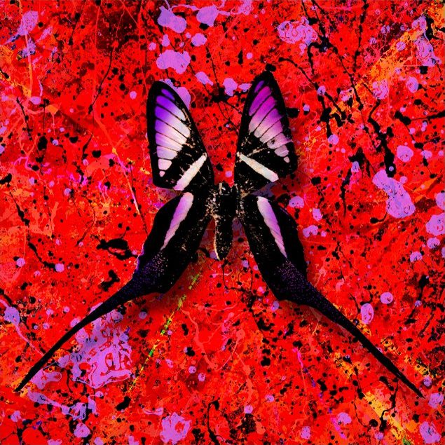 Album cover art for "Leave Your Life" by Ed Sheeran