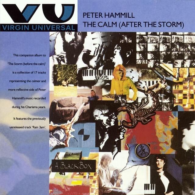Cover image for The Calm (After the Storm)