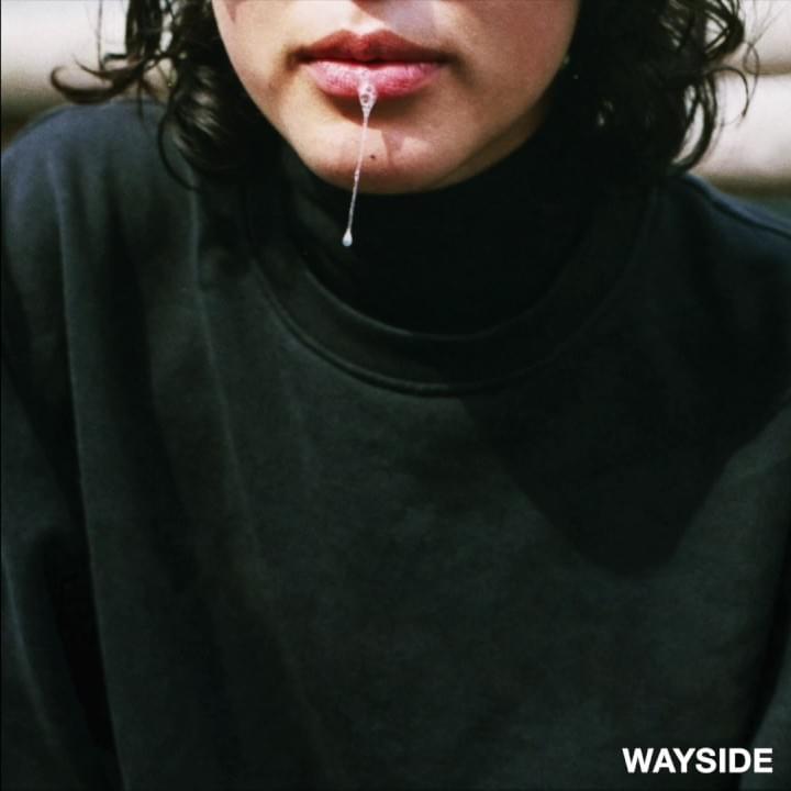 The Wayside Profile Picture Photo of The Wayside