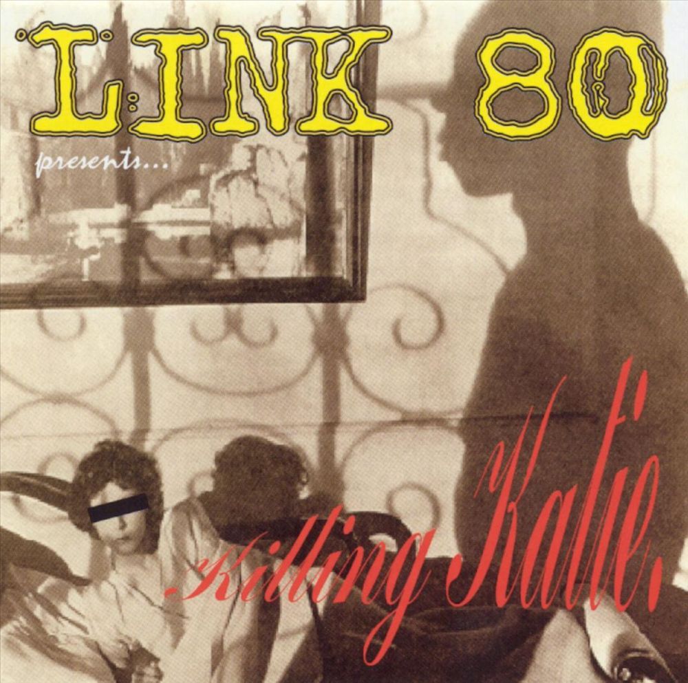 El Estupido (No Quiero Vomitar) by Link 80