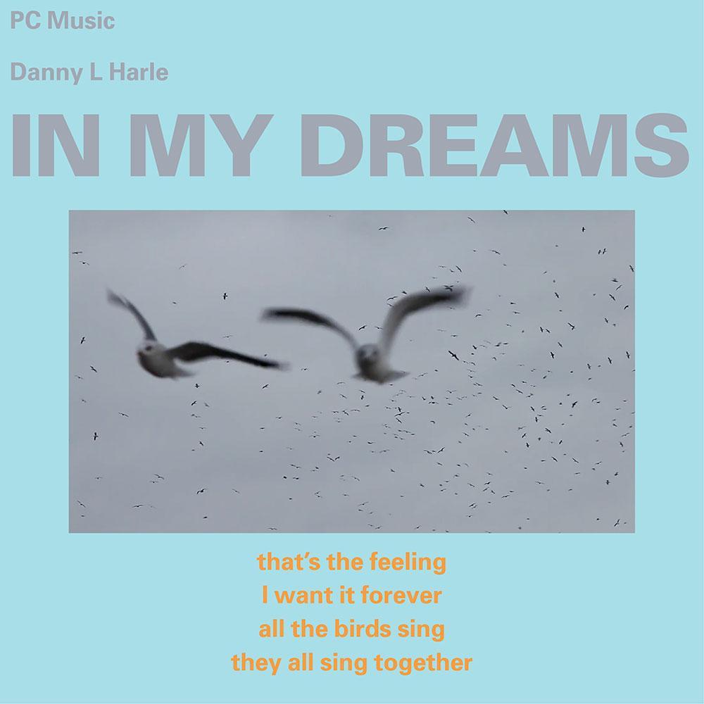 Album cover art for "In My Dreams" by Danny L Harle