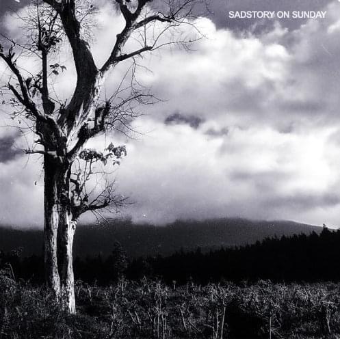 Album cover art for "HOME II: All We Need to Do is Stop Digging, and Just Look at the Sky" by Sadstory On Sunday
