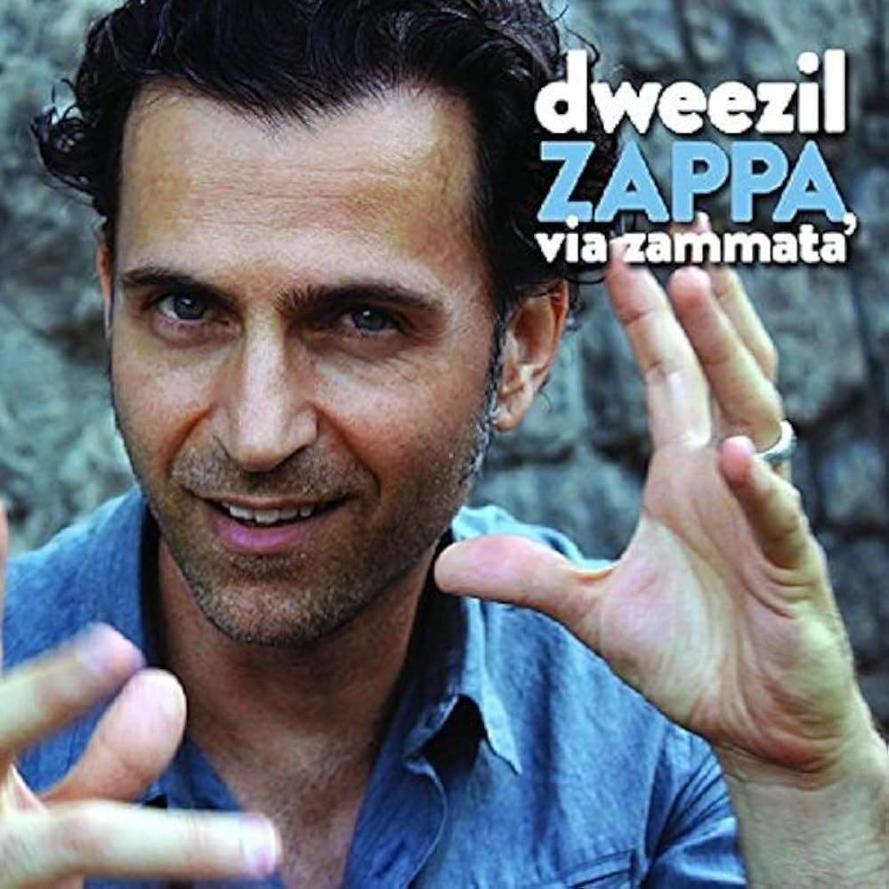 What If by Dweezil Zappa