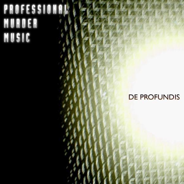 Still Remains by Professional Murder Music