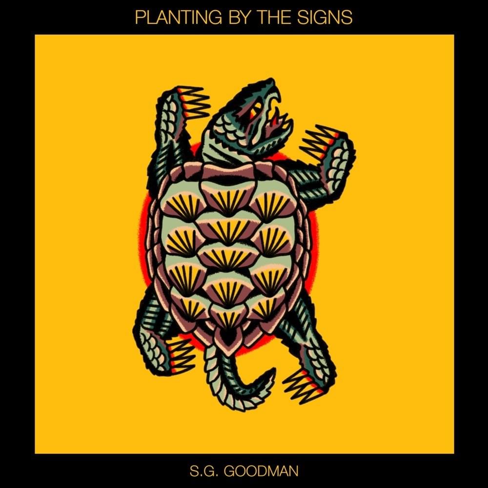 Album cover art for "Satellite" by S.G. Goodman