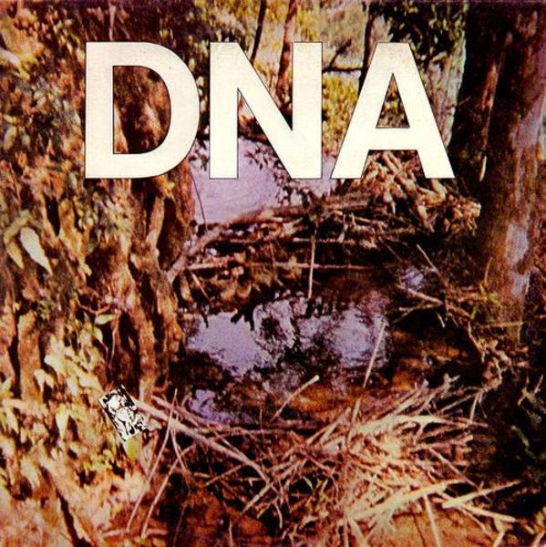 New Fast by DNA (Arto Lindsay)