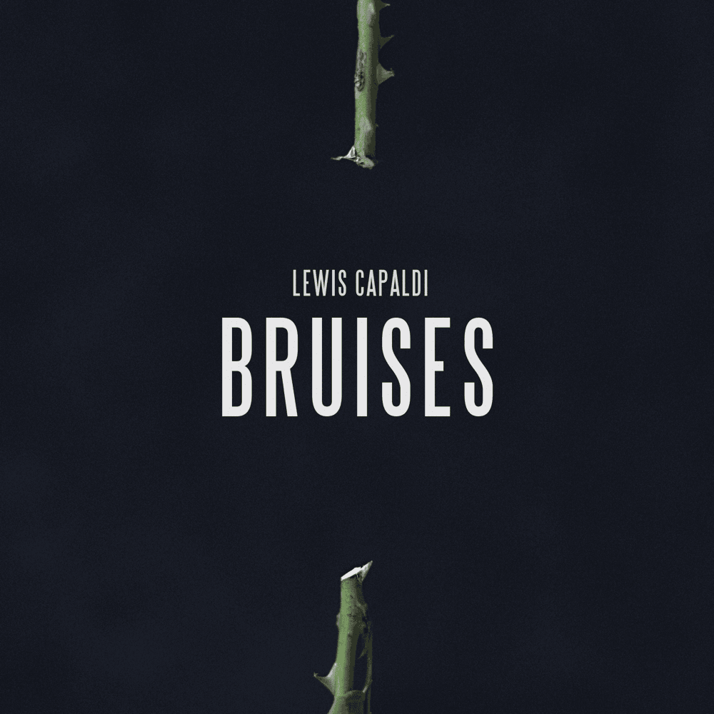 Album cover art for "Bruises" by NOW That’s What I Call Music!