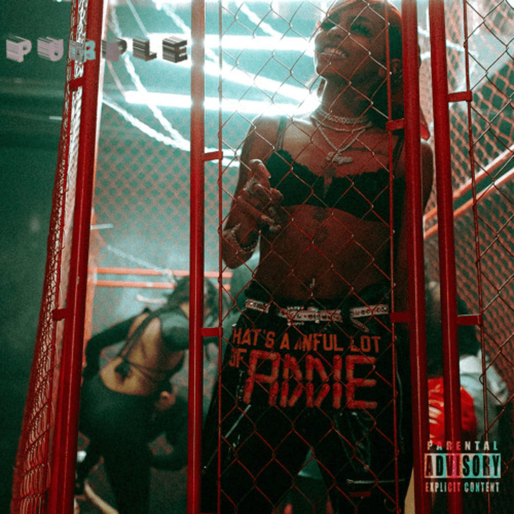 Album cover art for "Purple" by Bali Baby
