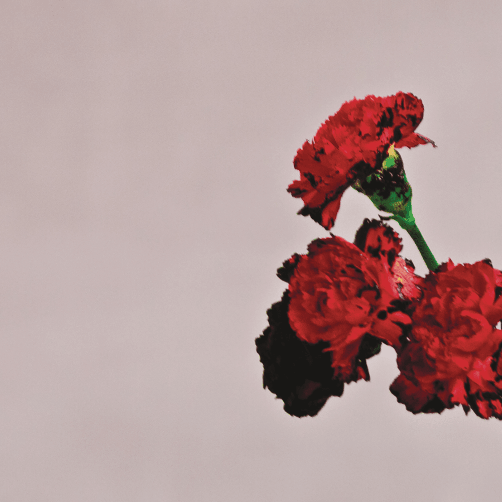Album cover art for "Asylum" by John Legend