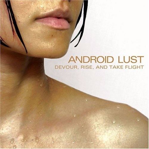 Album cover art for "Hole Solution" by Android Lust