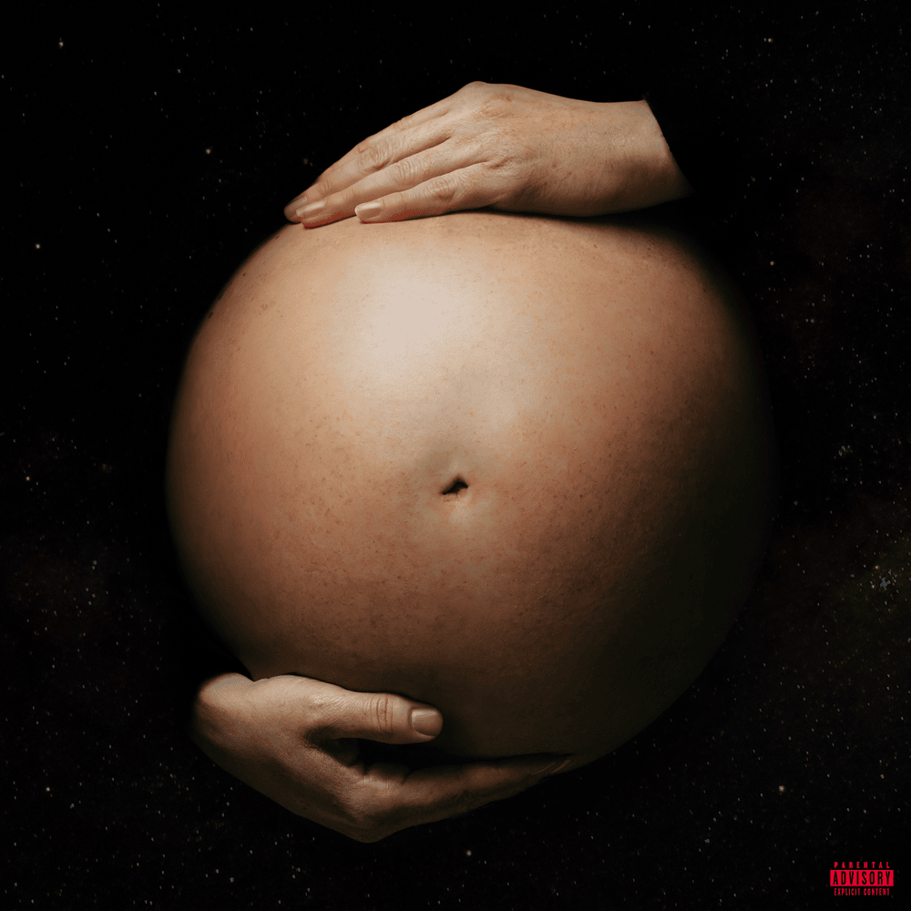Cover image for CREDO