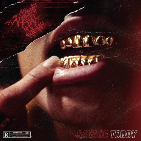 Album cover art for "AHAH !" by Savage Toddy