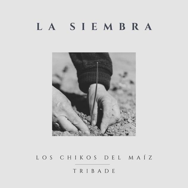 Album cover art for "La Siembra" by Los Chikos del Maíz