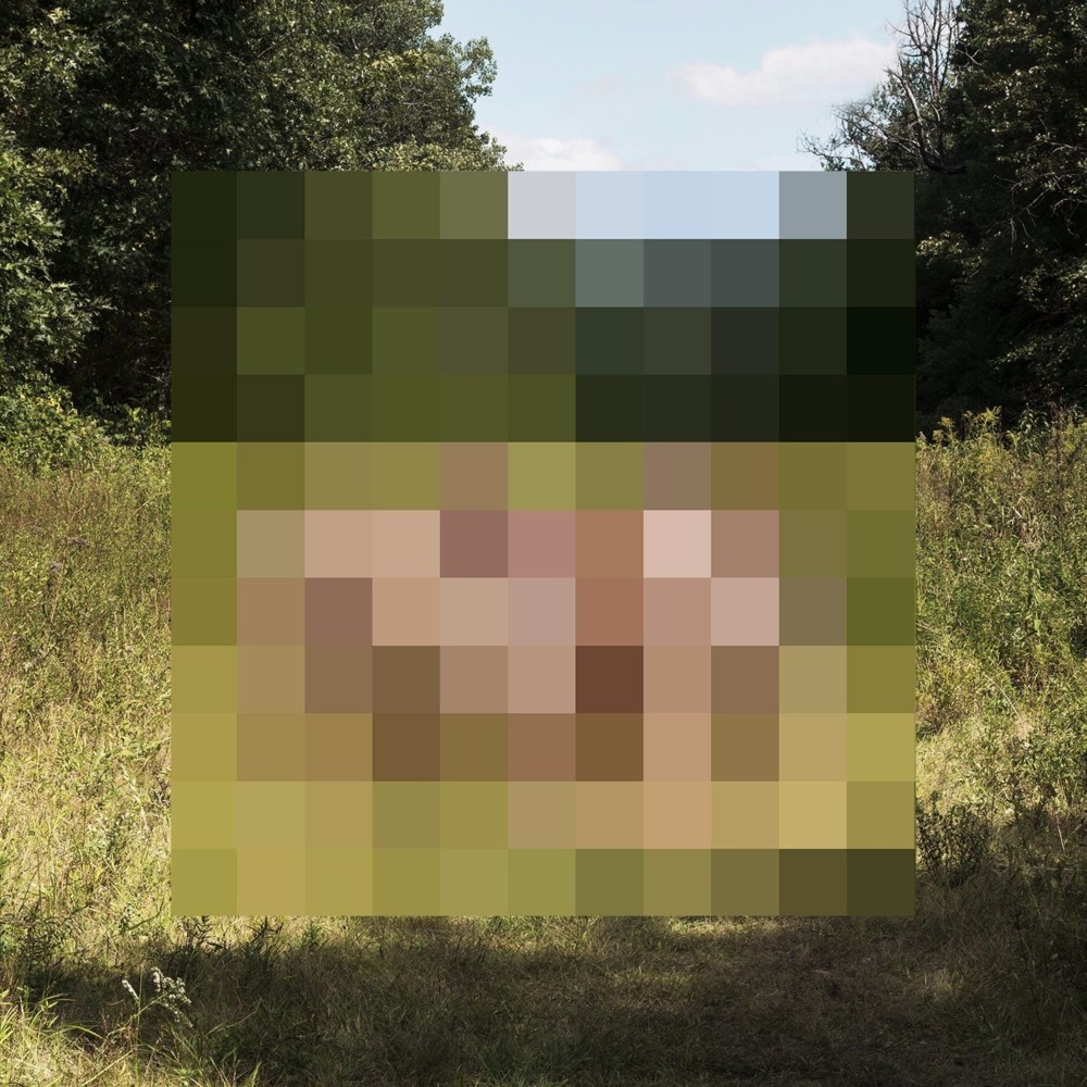 Album cover art for "Settle the Scar" by The Hotelier