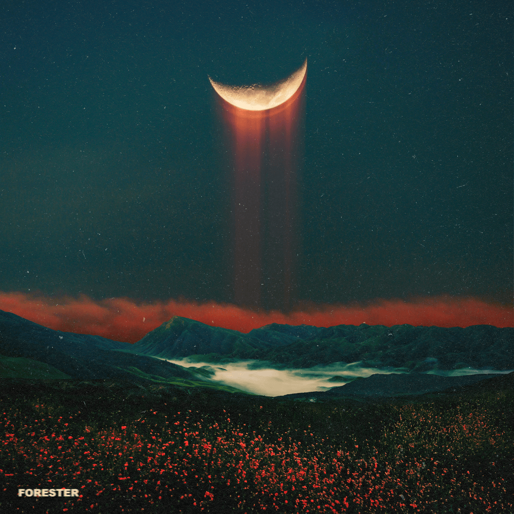 Cover image for Moonlight