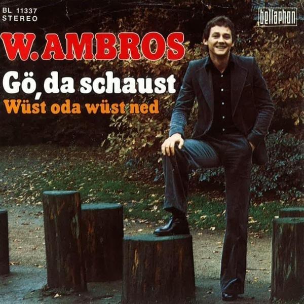 Album cover art for "Gö, da schaust" by Wolfgang Ambros