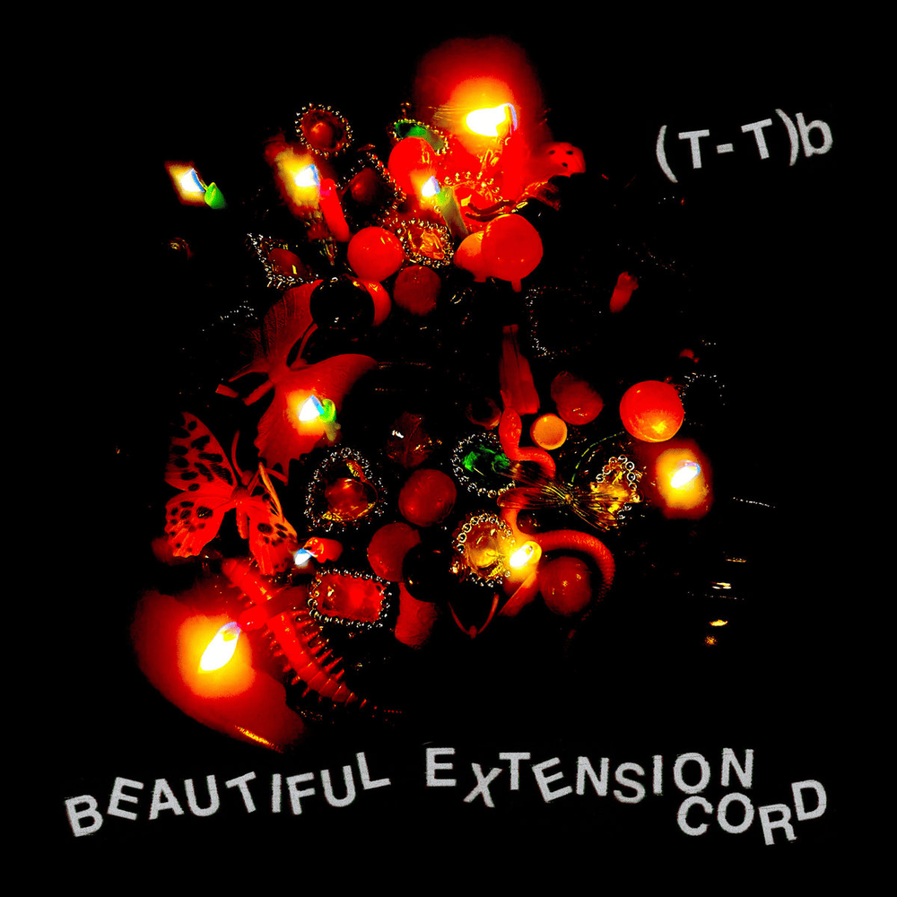 Sugar in the Raw by (T-T)b (band)