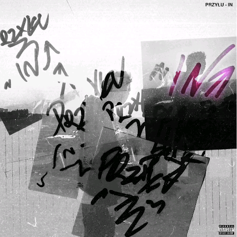 Album cover art for "In" by przyłu