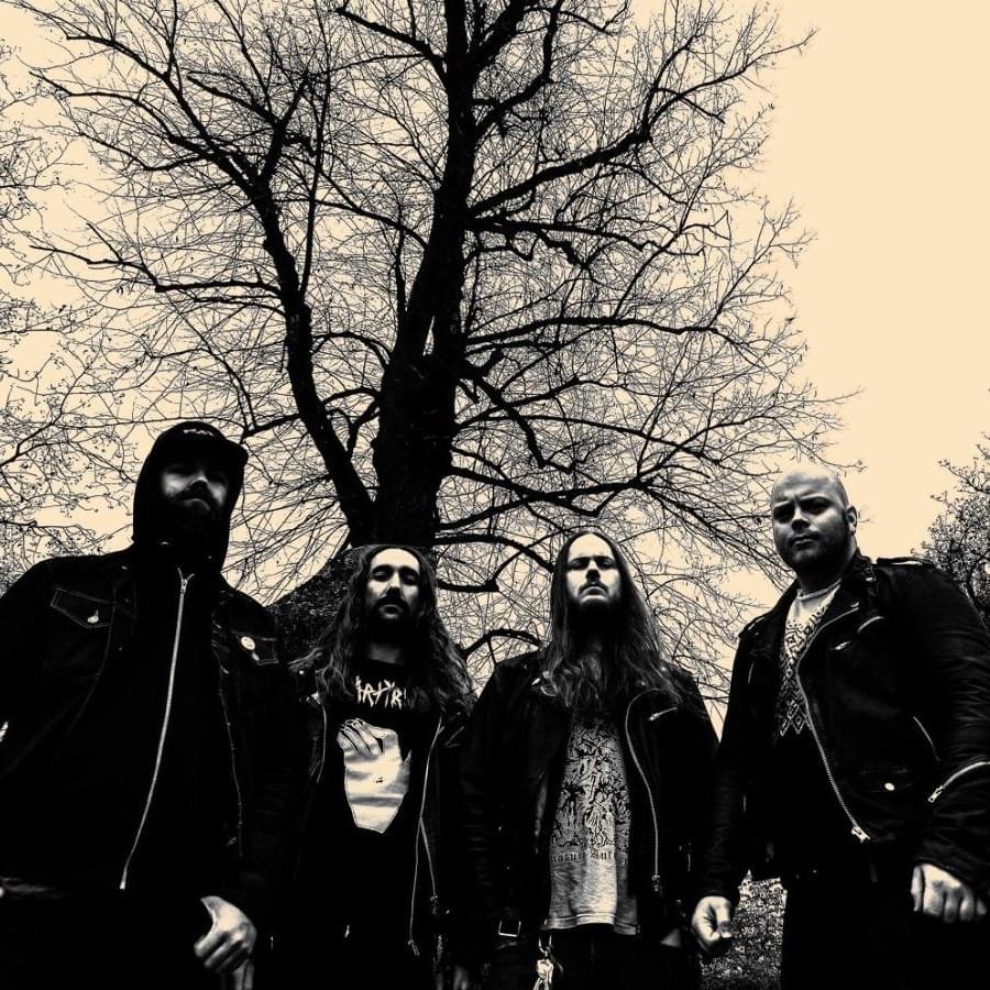 Photo of Crawl